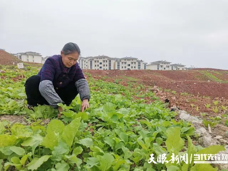 b体育让幸福无“微”不至——贵州易地扶贫搬迁工作以“微”发力惠民生(图1)