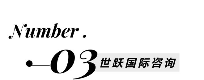 b体育当海淀妈妈在卷奥数时单亲家庭在爱琴海边实现了教育降维打击！(图1)